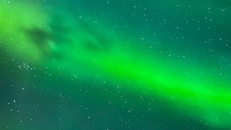 Searching for your next talented employee is like chasing the Northern Lights